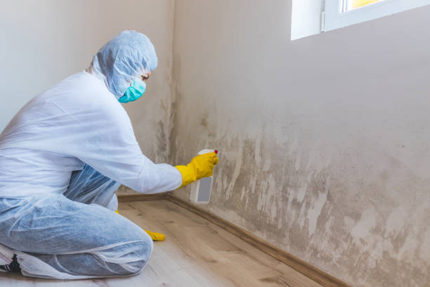 Licensed Crawl Space Mold Removal service in New Park, PA - WQB Mold Removal