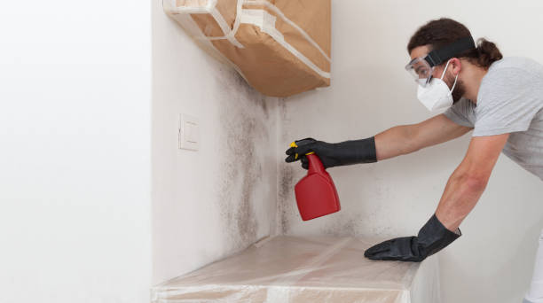 Professional Crawl Space Mold Removal technician working in New Park, PA