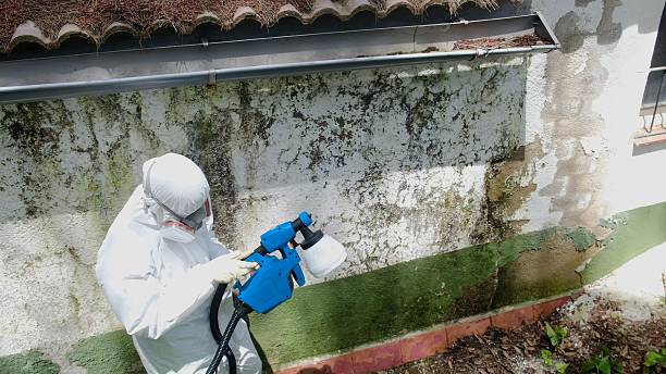 Top rated local Crawl Space Mold Removal specialists in New Park, PA